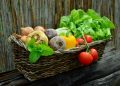 Harnessing the Benefits of Fresh, Local Produce for Vibrant Health