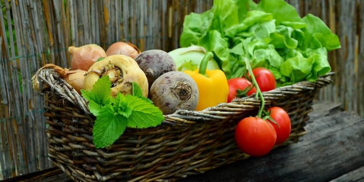 Harnessing the Benefits of Fresh, Local Produce for Vibrant Health