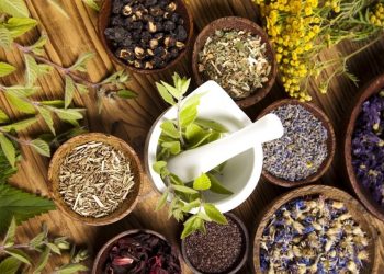 The Benefits of Herbal Remedies for Natural Wellness