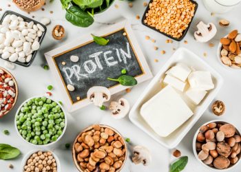 Incorporating Vegan Protein Sources into Your Diet
