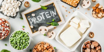 Incorporating Vegan Protein Sources into Your Diet